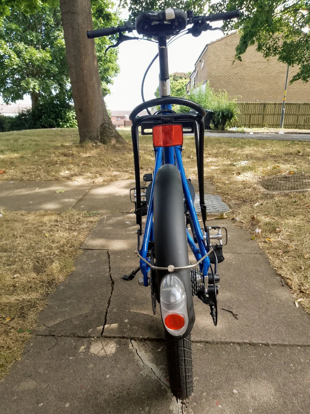 Ridgeback Errand 2024