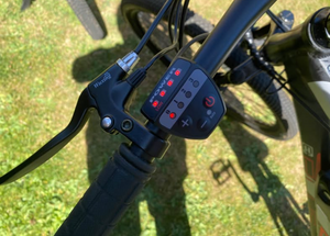 E Plus pulse Pulse 2020