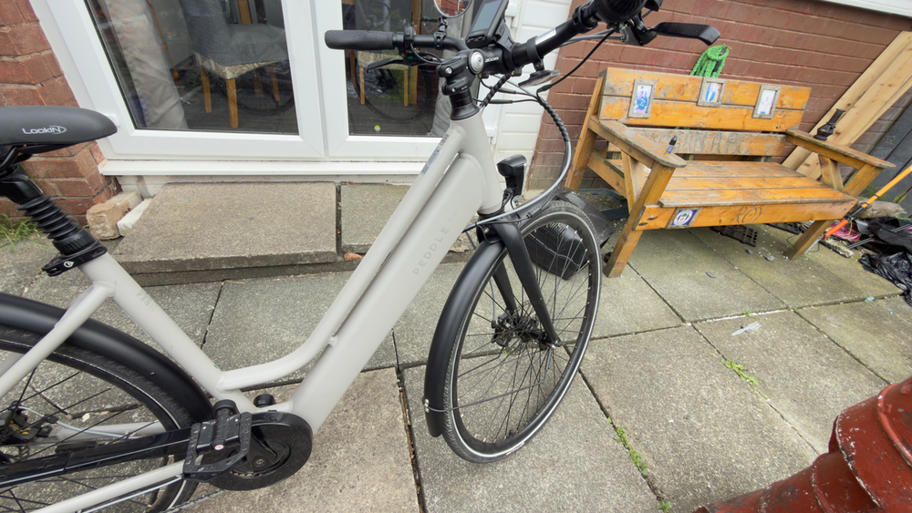 Peddle Step 2025