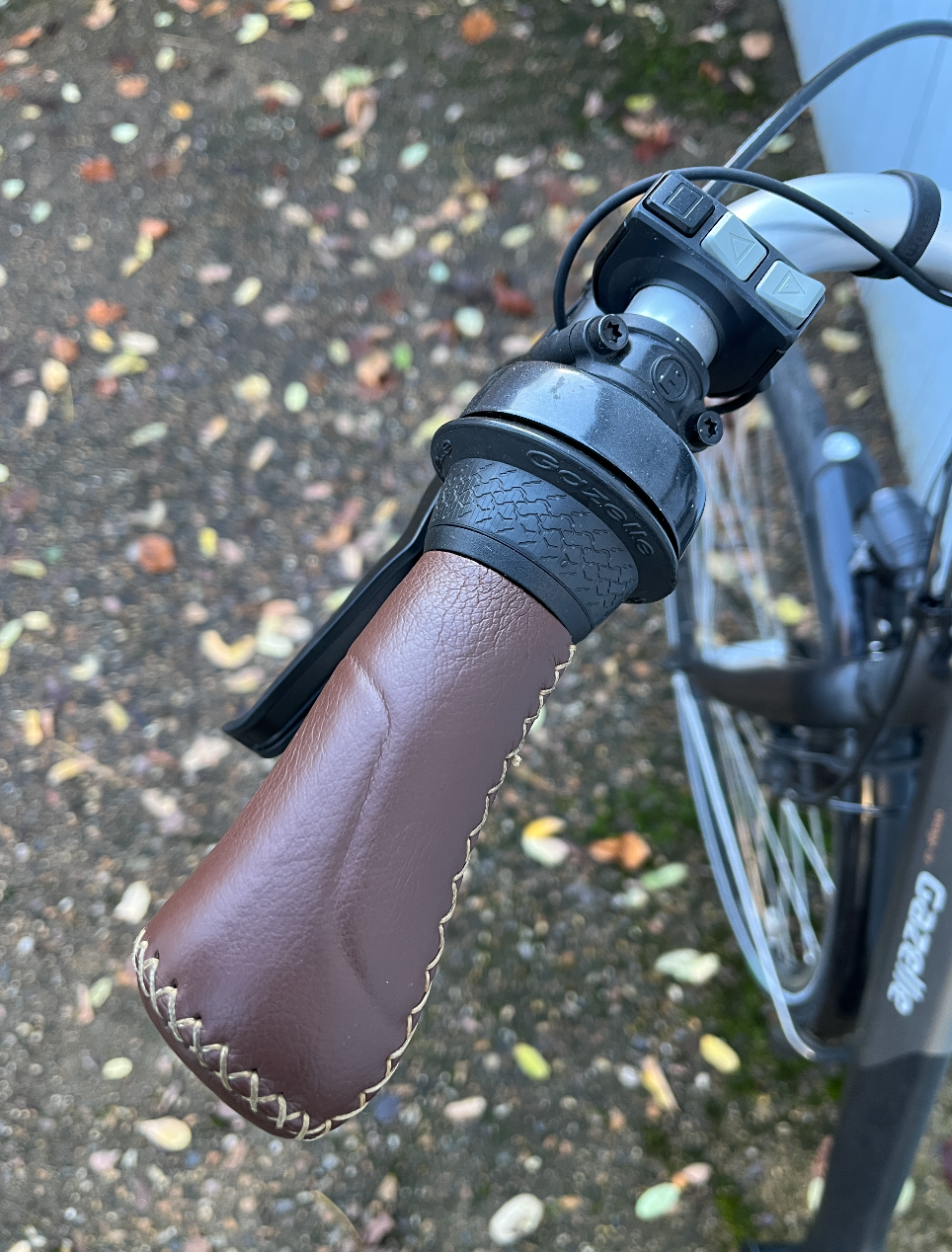 Gazelle Orange C8 High-Step 2022