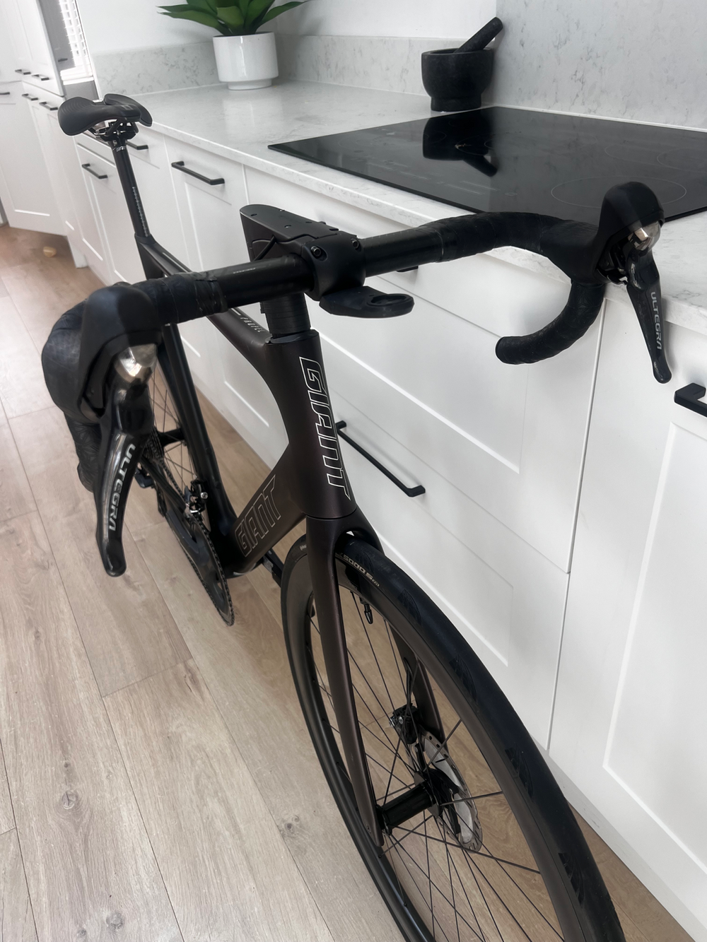 Giant Propel Advanced Pro 1 2021