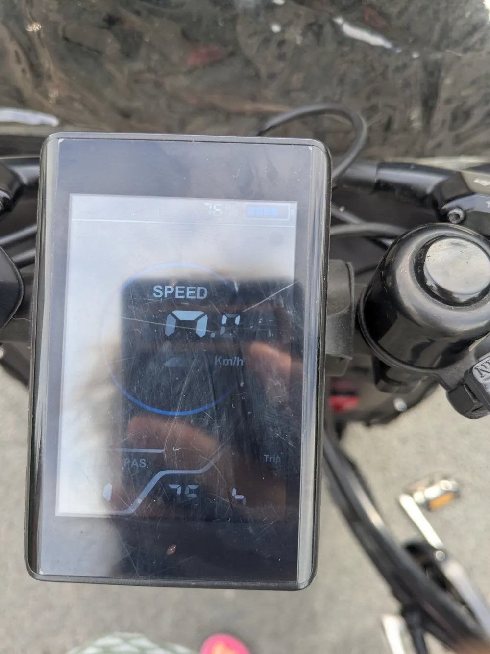 AmCargo Ultimate Curve  2021