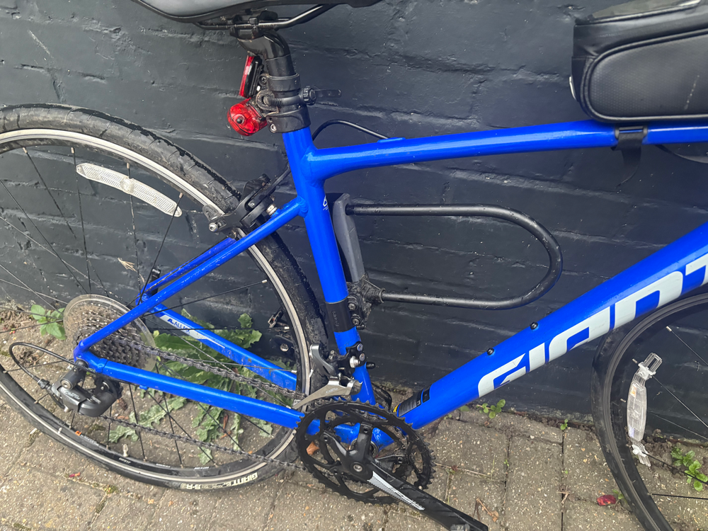 Giant Contend 2 2024