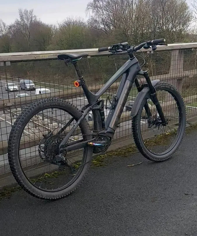 Trek Rail 9.5 2021