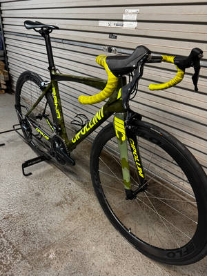 Cipollini Bond 2019