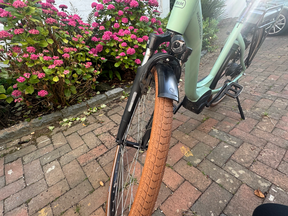Riese und Müller Swing Vario 4 2022