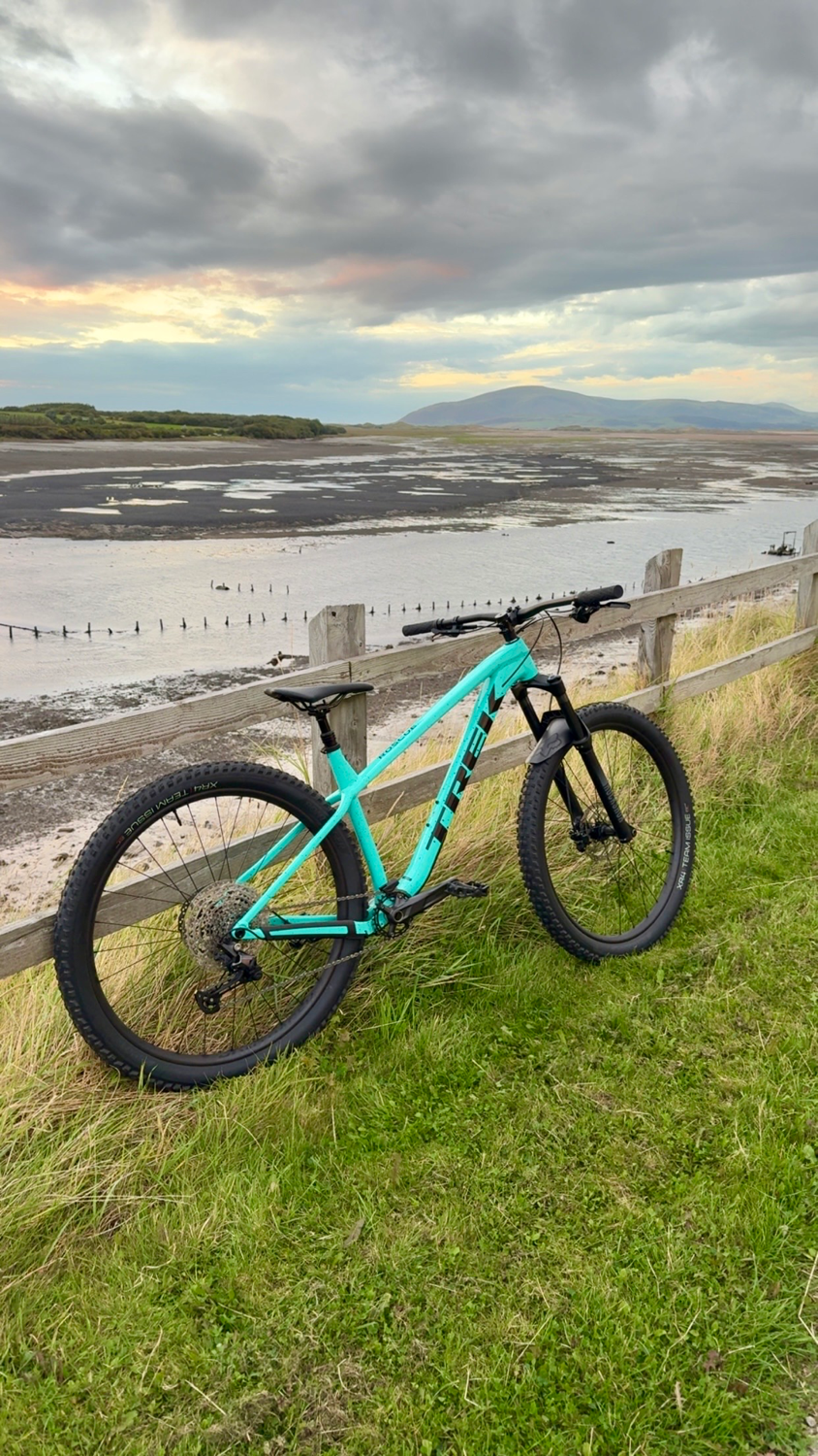 Trek Roscoe 7 2025