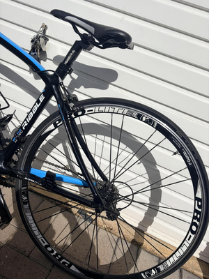 Ribble Sportive azzurro