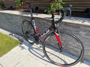 Fuji Altamira 2.2 C 2013