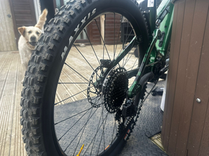 Whyte Kado S 2025