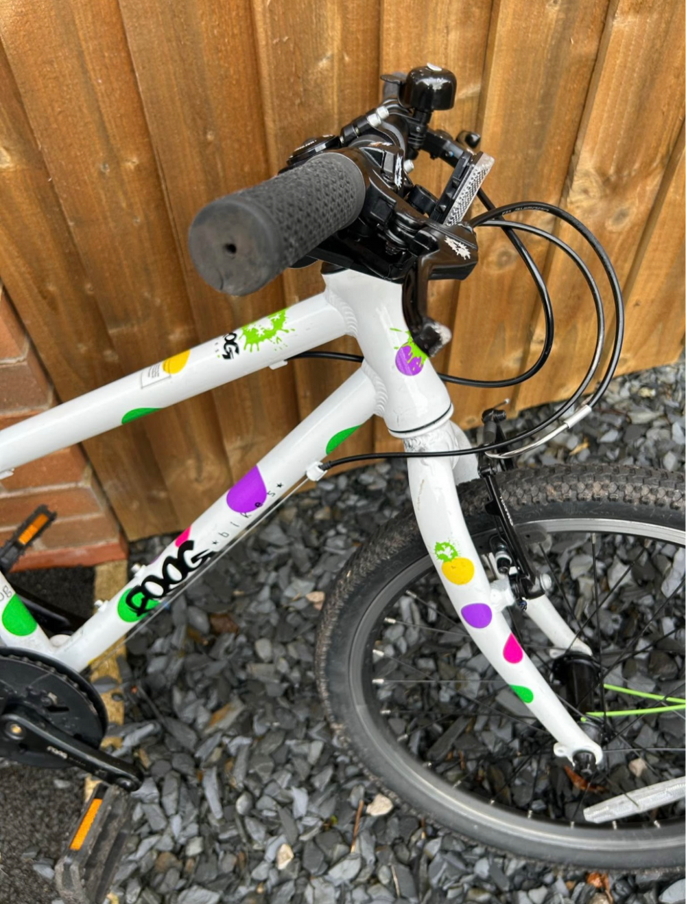 Frog 44 2024
