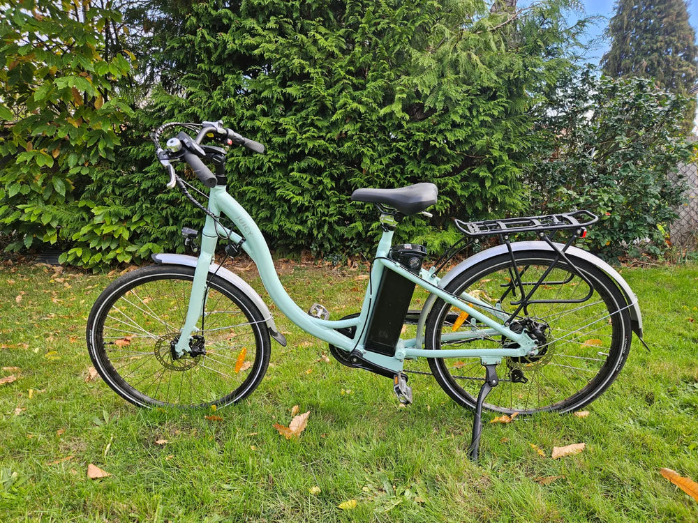 Juicy Dutch Ebike 2023