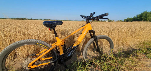 Orbea WILD H30 2023