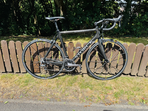 Storck scenario 1.1