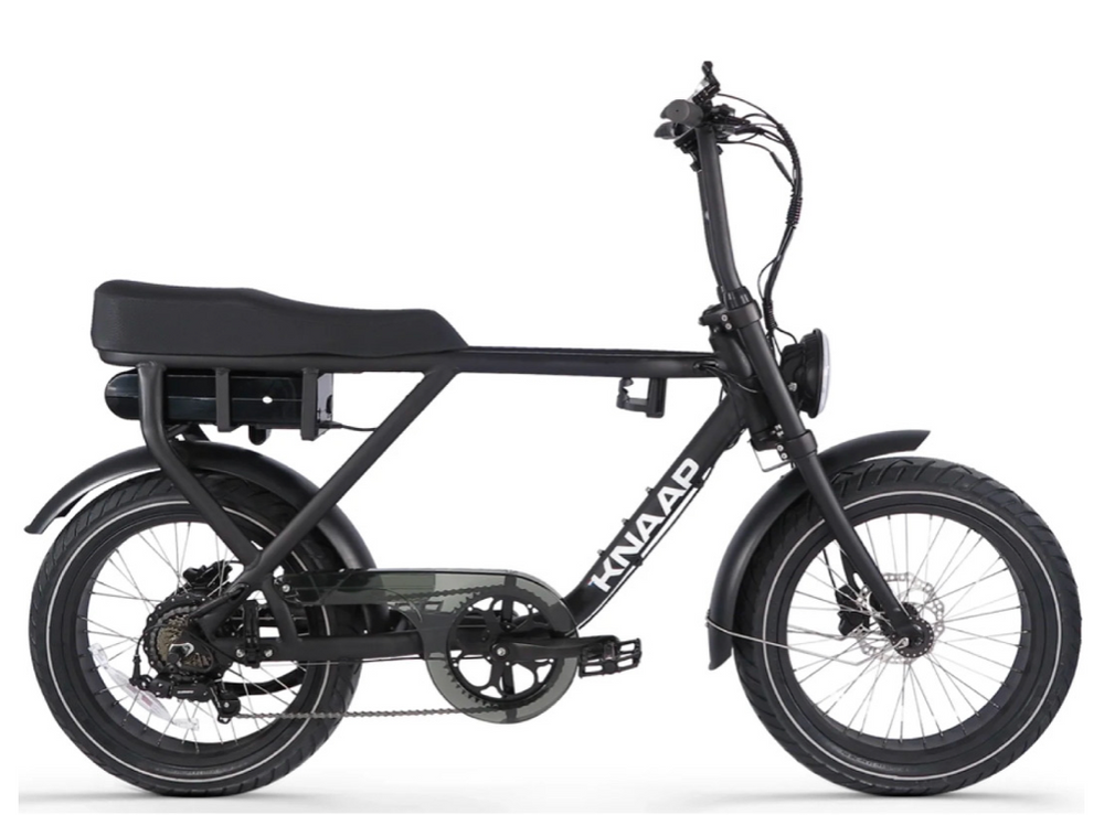 Knaap 2 seater E-bike  2022