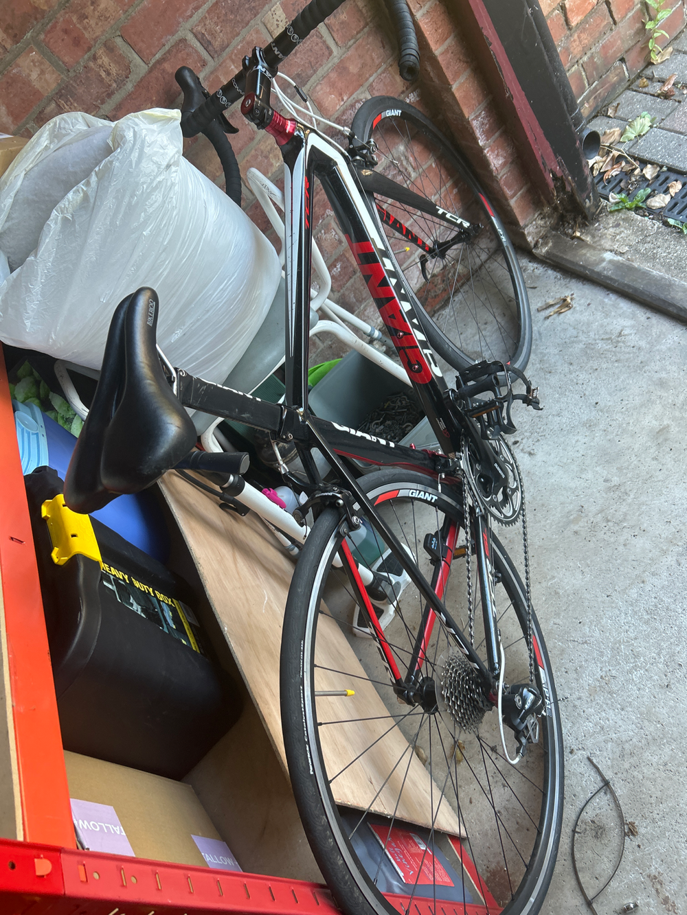 Giant Defy - Advanced 1 2023