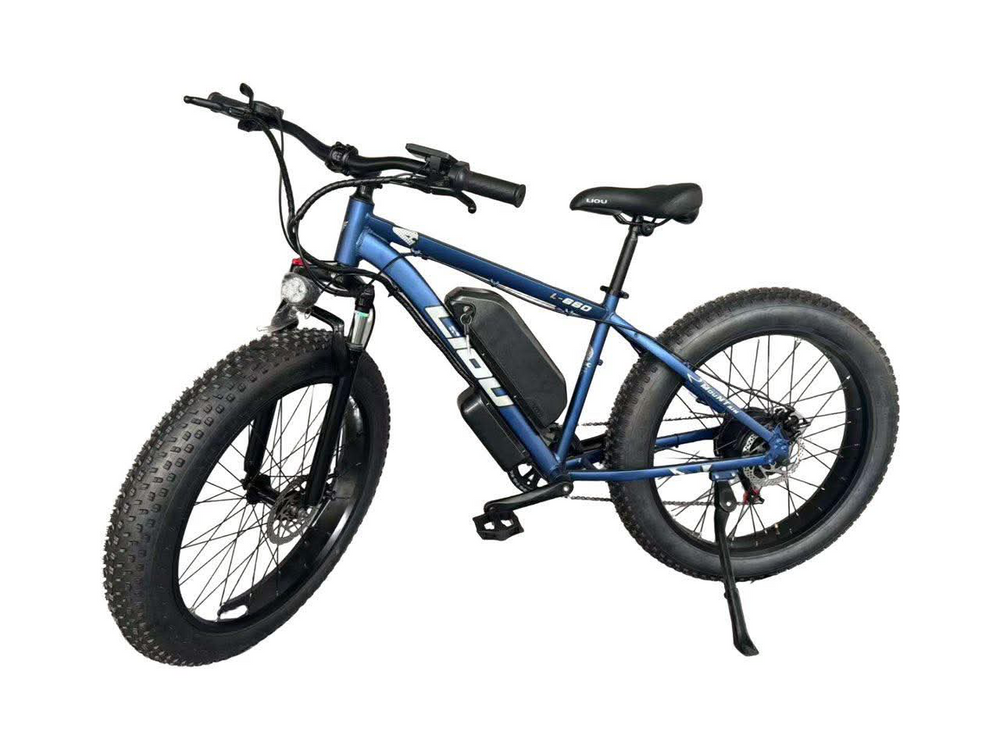 Liou Liou holding HK LIMITED  2025