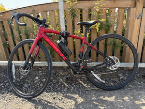 Trek Domane AL 2 Gen 4 2024