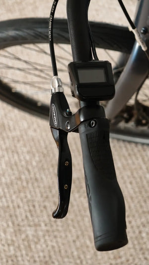 Carrera impel im-2.1 2022