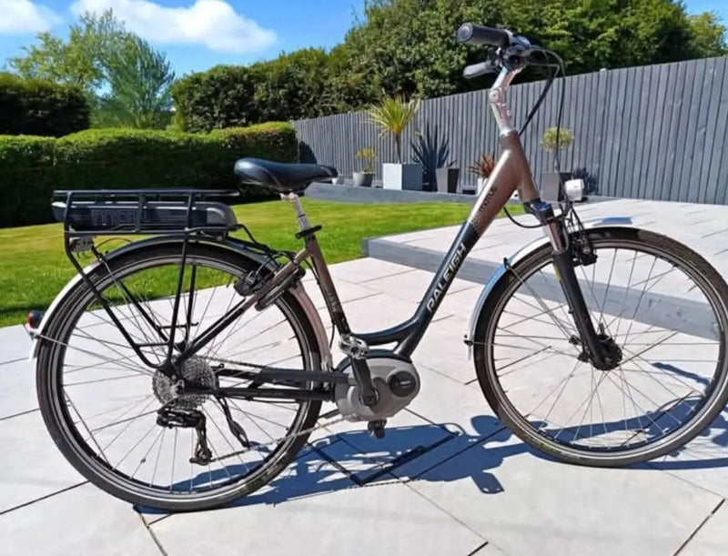 Raleigh Motus 2016