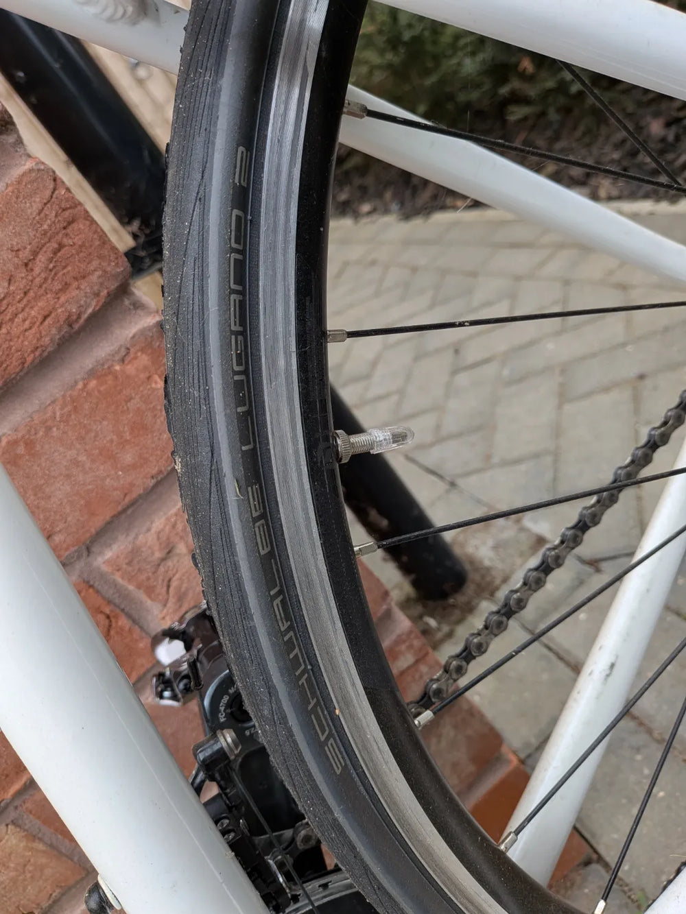 Scott Speedster 20 disc 2021
