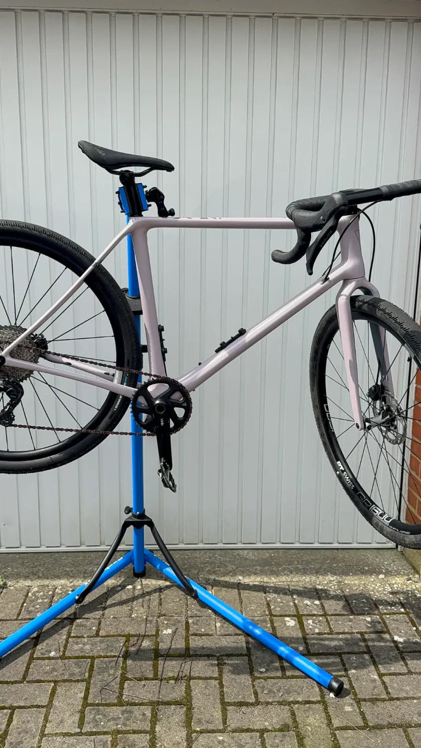 Vielo V+1 2021