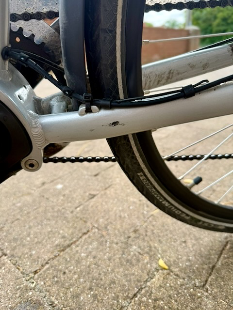 Ridgeback Cyclone 2019