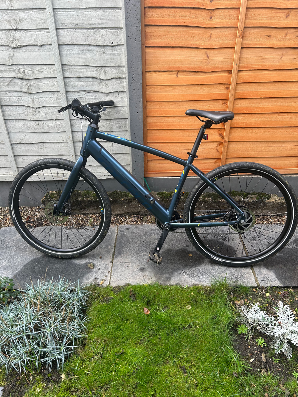 Carrera impel im 2022