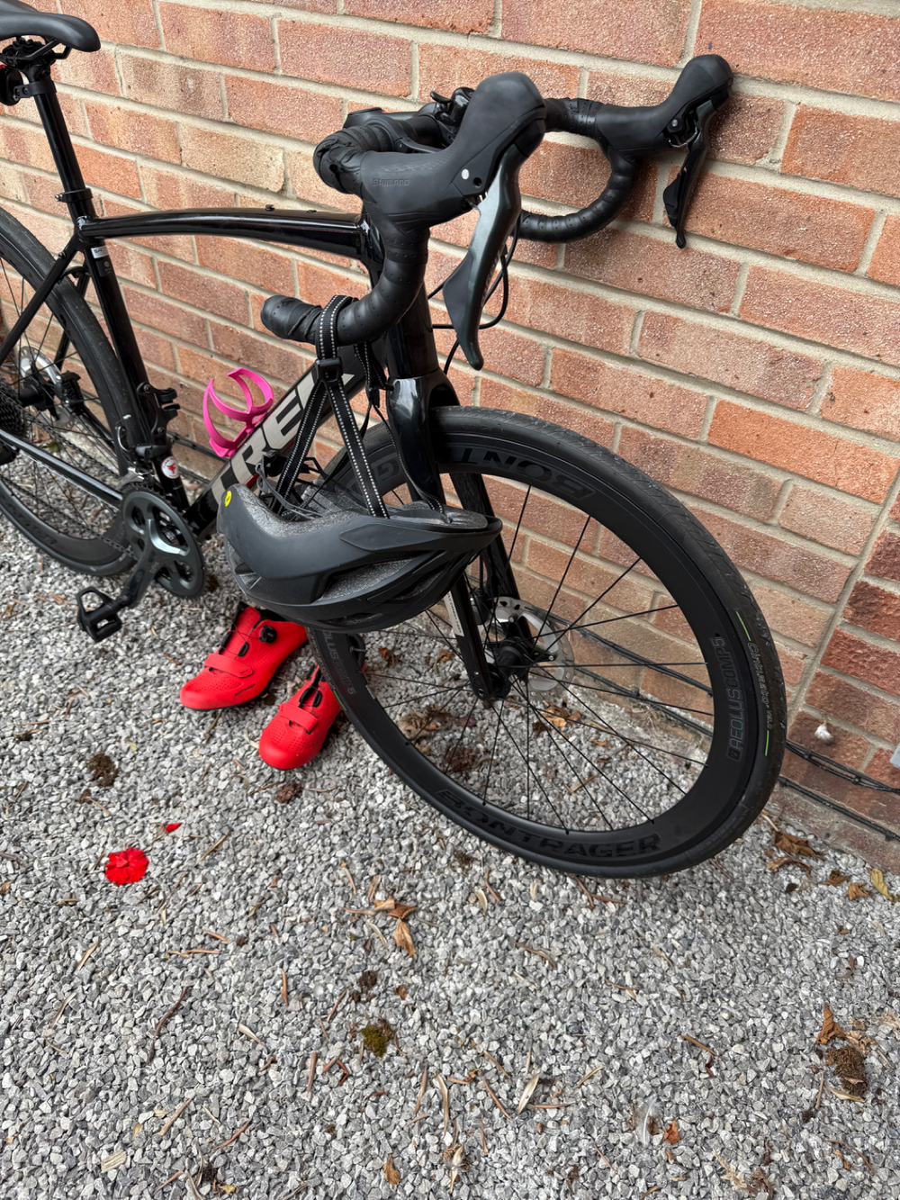 Trek Domane AL 4 Disc 2021