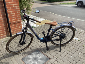 Raleigh Array E Motion Low Step 2022