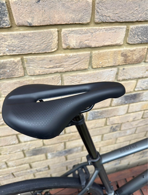 Trek Domane AL 2 Disc 2025