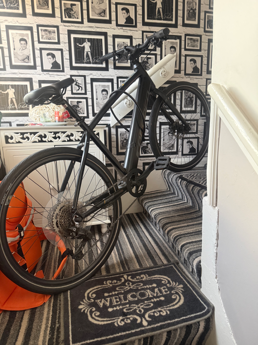 Carrera impel im 2022