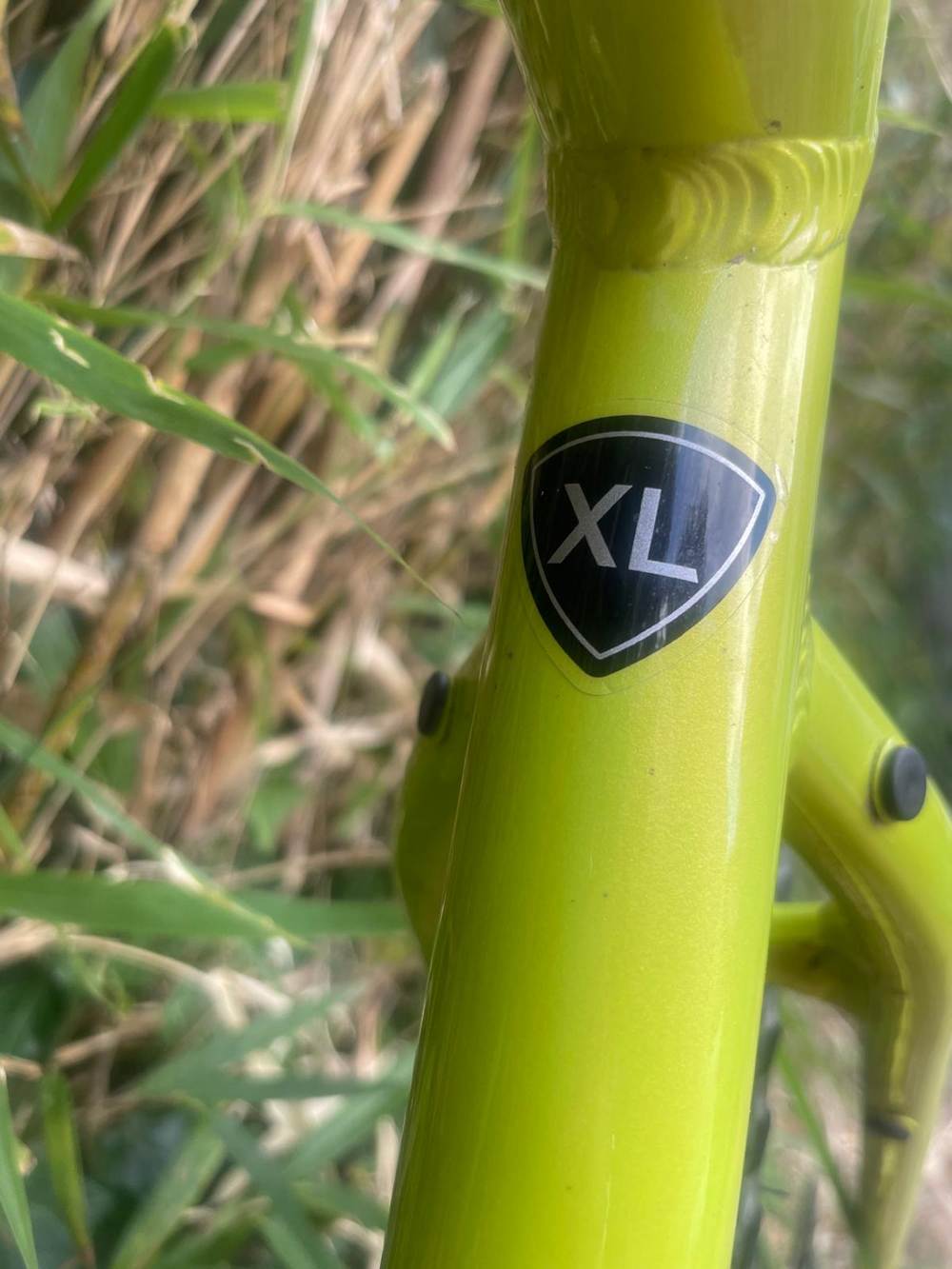 Specialized Sirrus X 2 0 2025