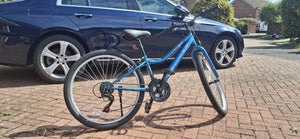Apollo 24 inch kids bike