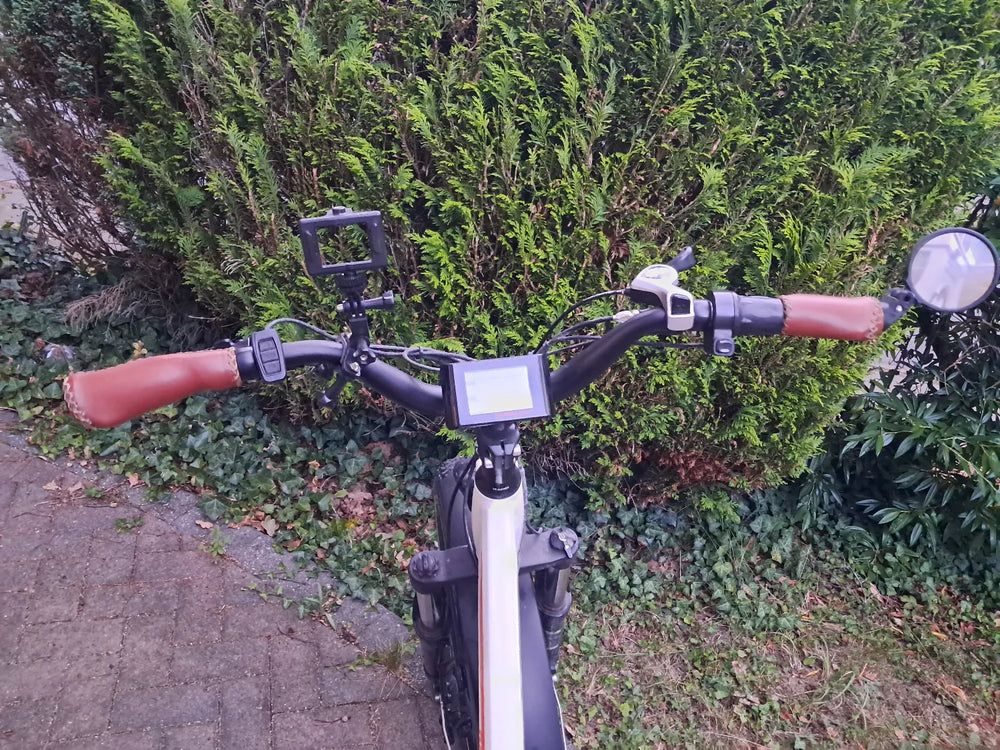 Rad Power Bikes Rhino 5 2020