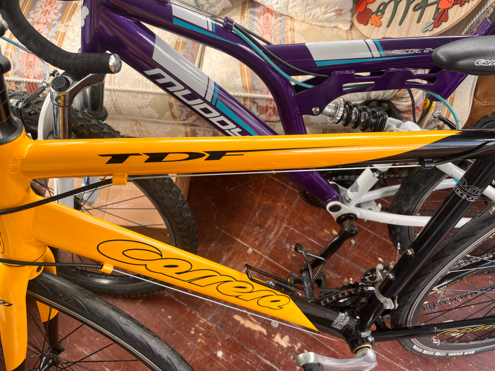 Carrera Tdf 2019