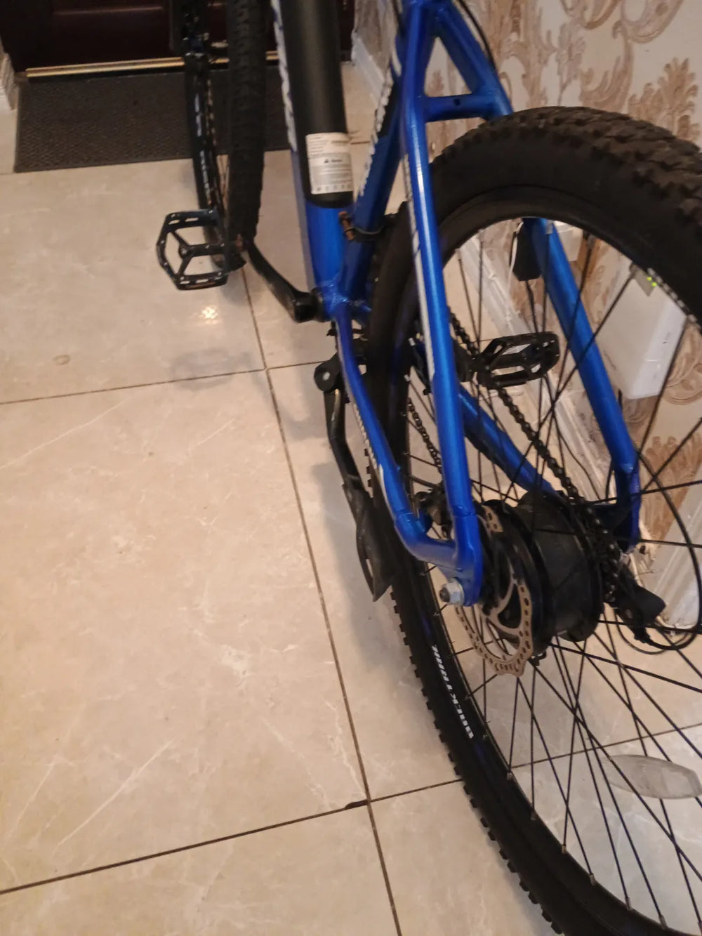 Montana Backtrail 2023