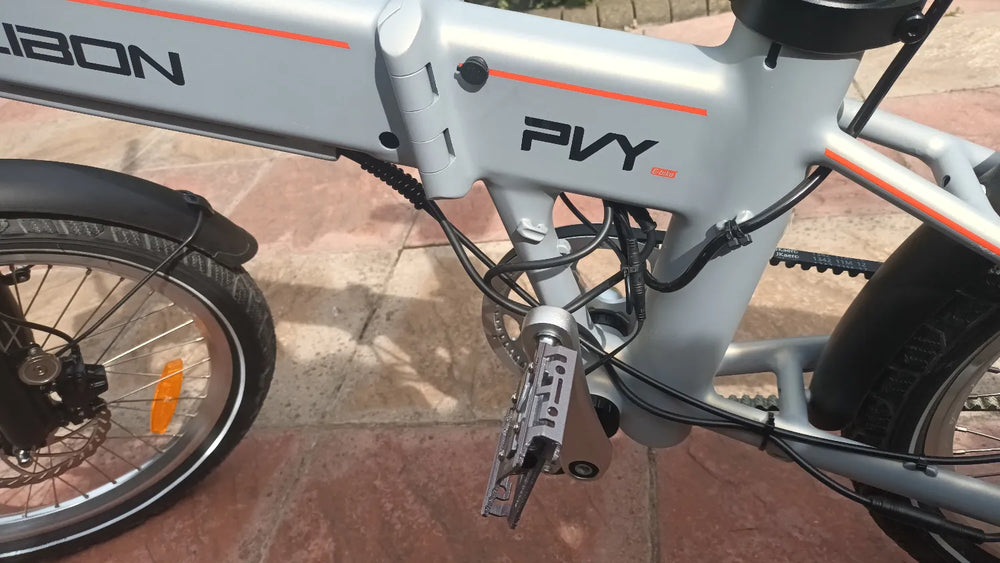 PVY LIBON 2024