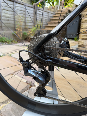 Focus Izalco Max 8.8 2020