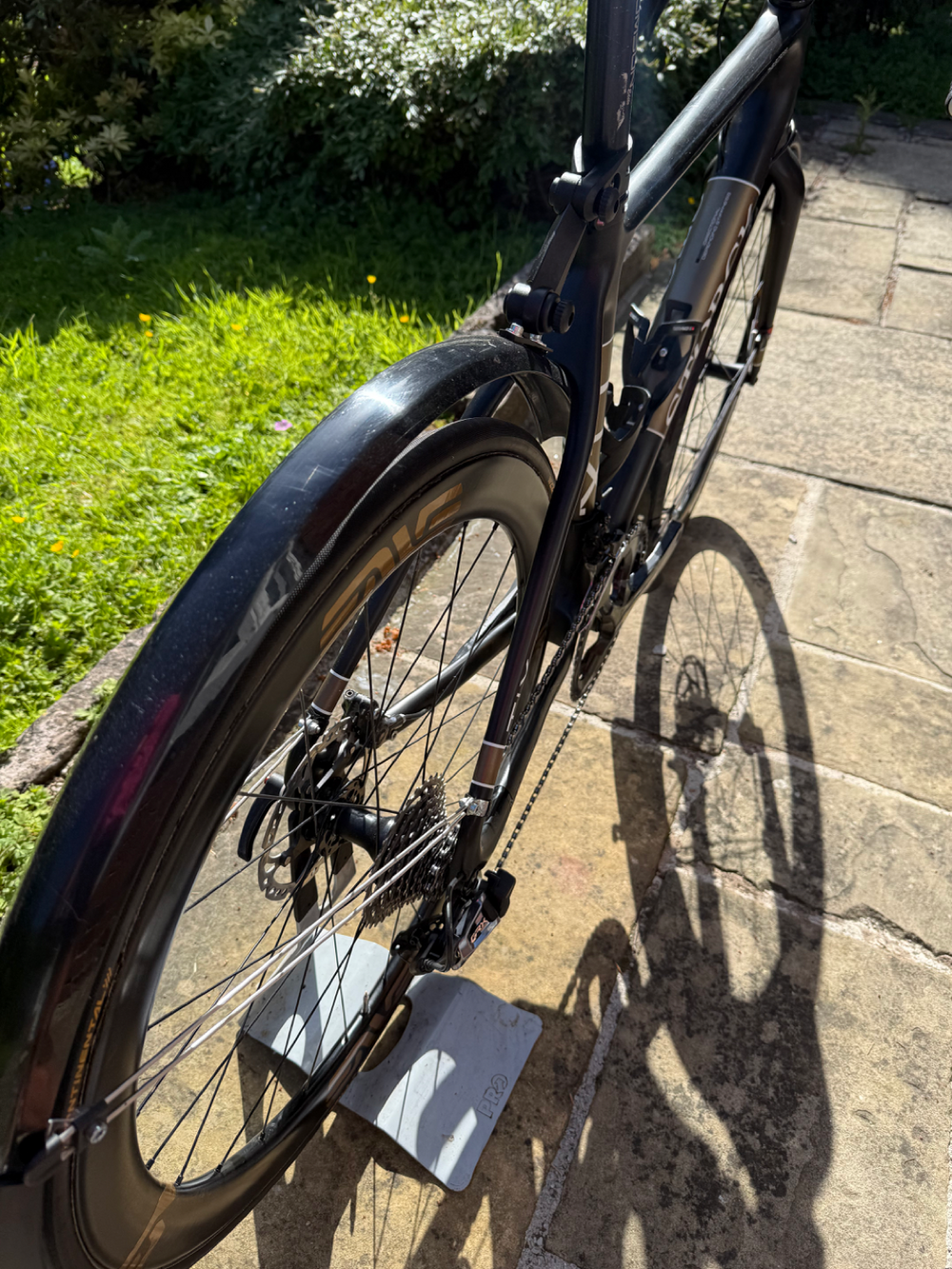 Storck Tix 2020