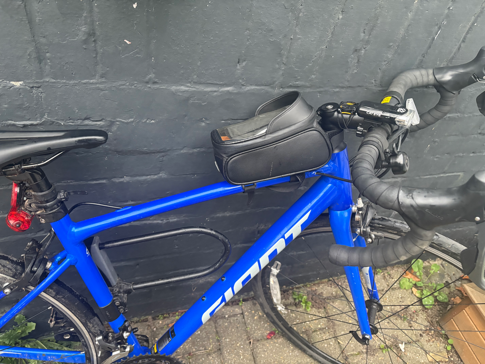 Giant Contend 2 2024