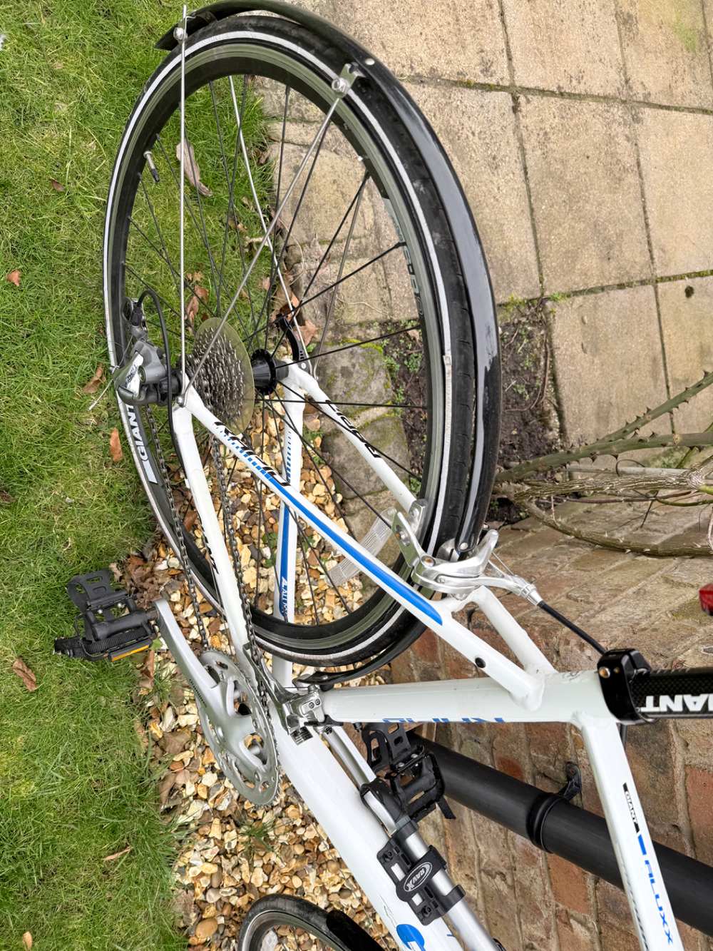Giant Rapid 2 Flatbar 2018