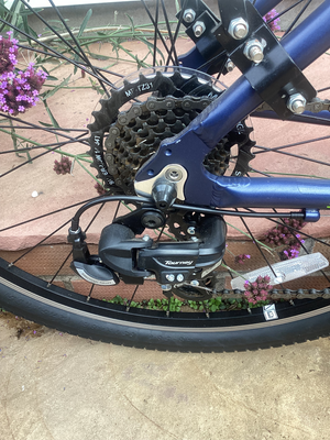Carrera AXLE LTD EDITION