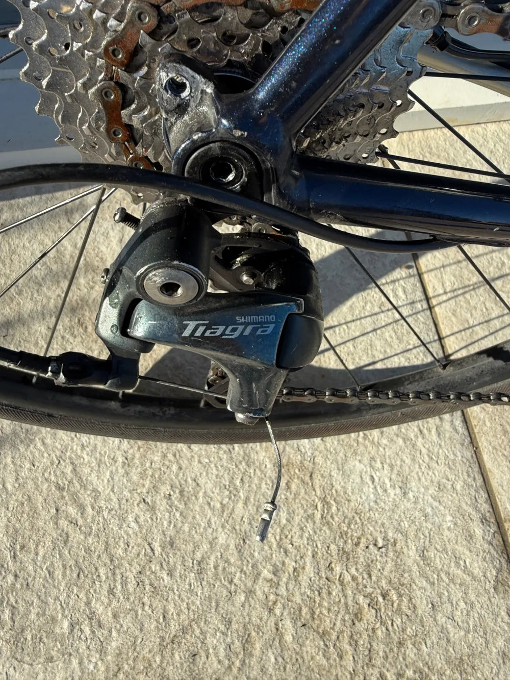 Cannondale Synapse Neo 2 2021