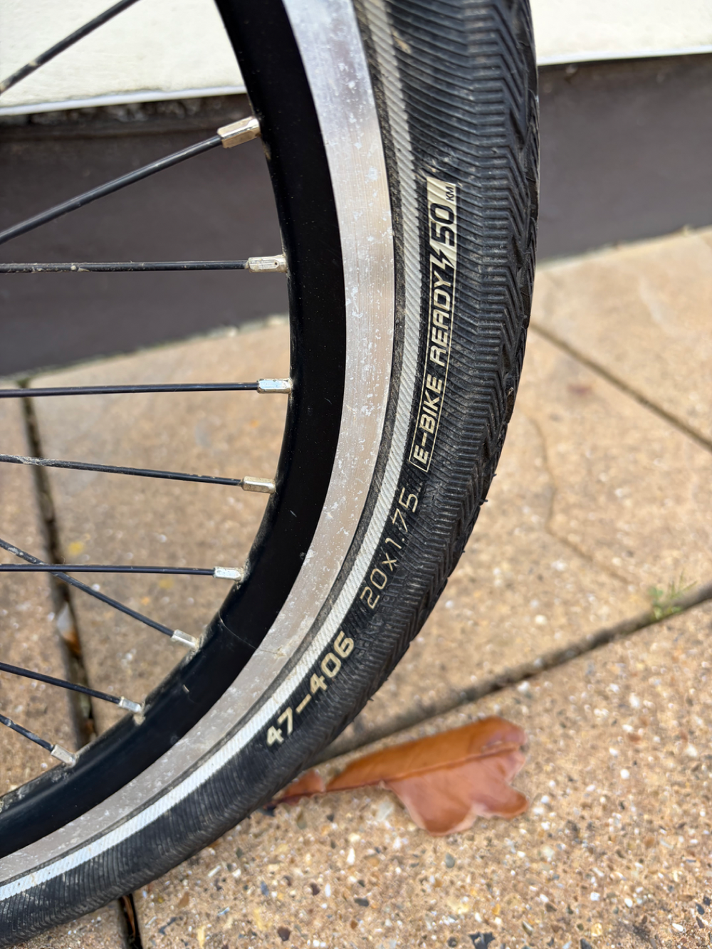 Raleigh Motus Kompact 2024