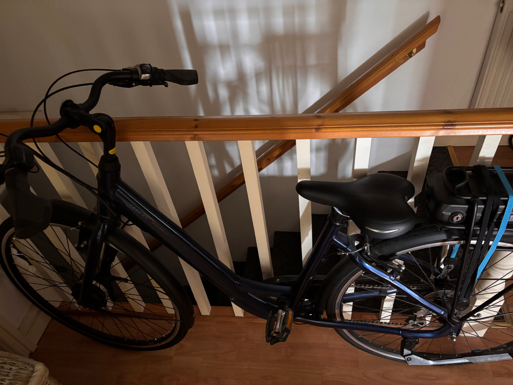 Giant Ease-E+ 2 Low Step Through 2020