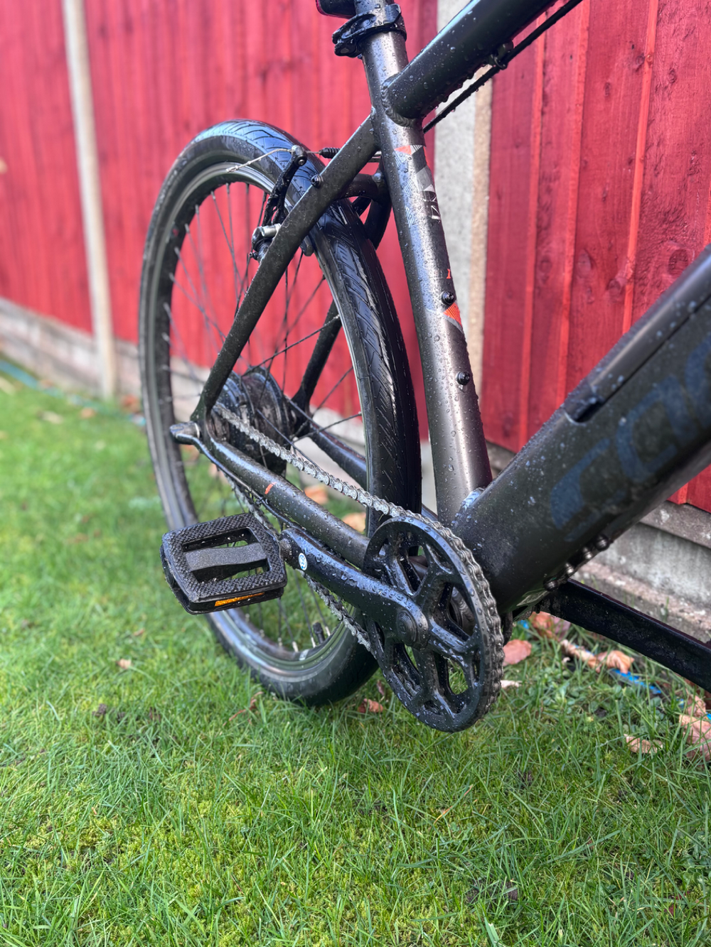 Carrera impel im 2024
