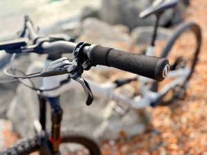Canyon Spectral 125 CF 7 2024