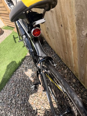 Boardman Team Carbon