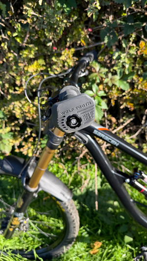 Saracen Myst Team 2024